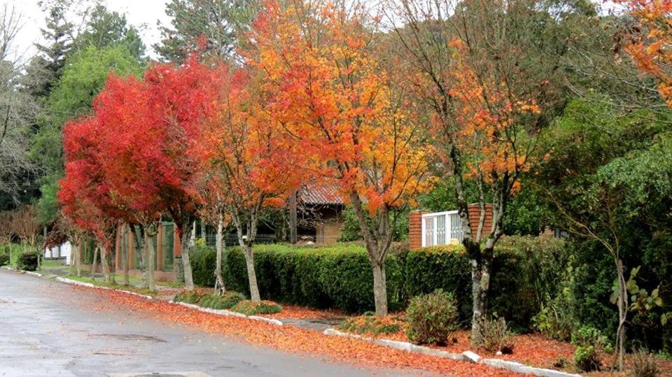 Apartamento Família Sirangelo Gramado Exterior foto